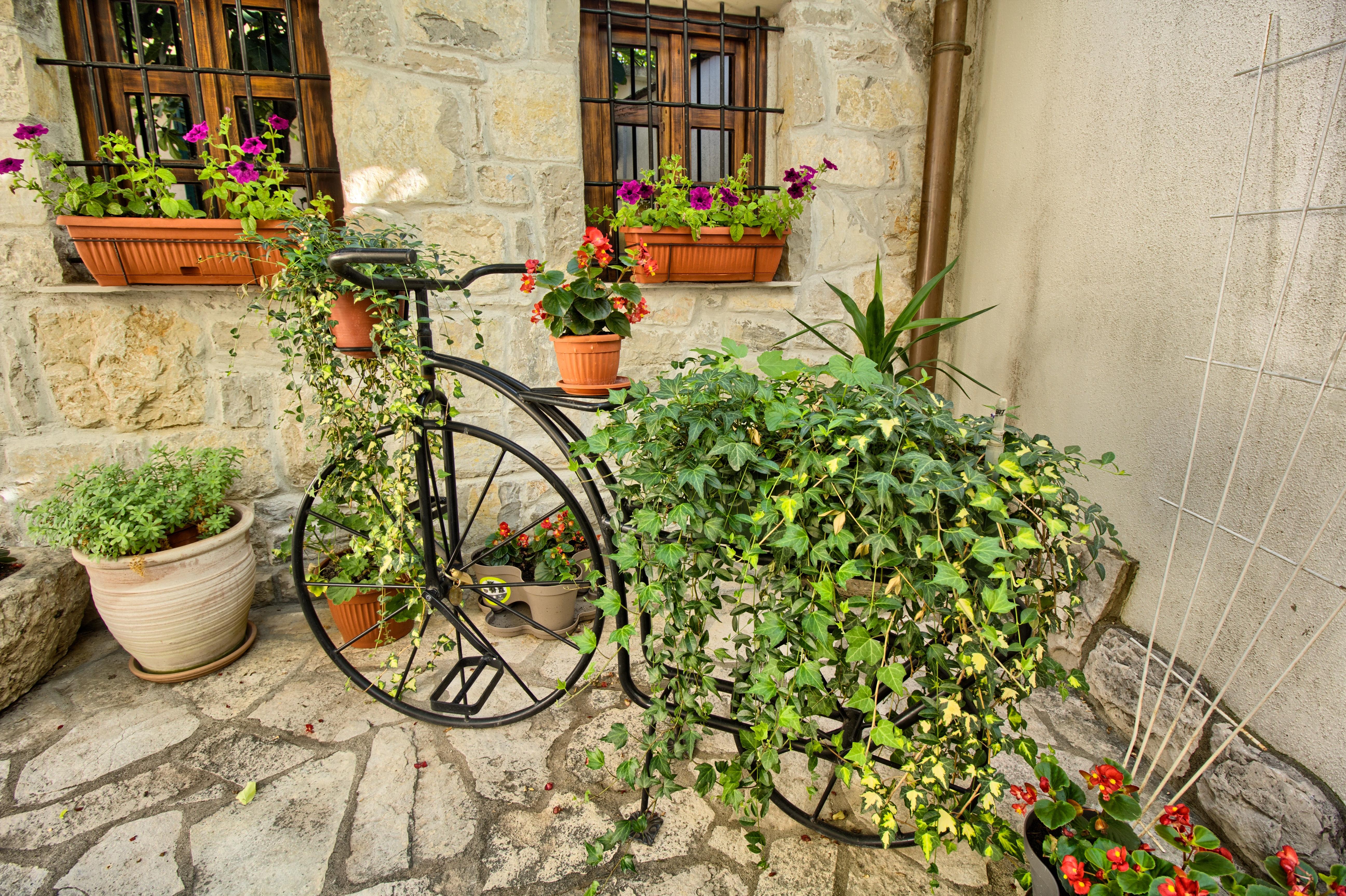 Villa Fortuna โมสตาร์ ภายนอก รูปภาพ